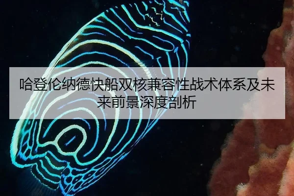 ha-deng-lun-na-de-kuai-chuan-shuang-he-jian-rong-xing-zhan-shu-ti-xi-ji-wei-lai-qian-jing-shen-du-pou-xi-3-177.jpg